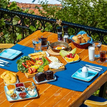 Elit Kaş