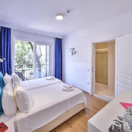 Elit Kaş