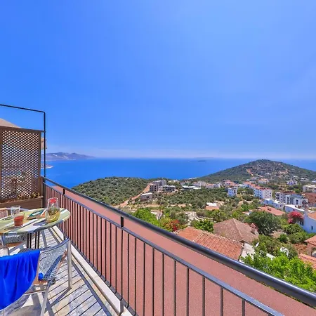 Elit Kaş