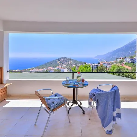 Elit Kaş