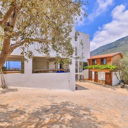 Elit Kaş