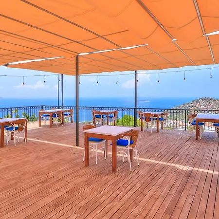 Elit Kaş