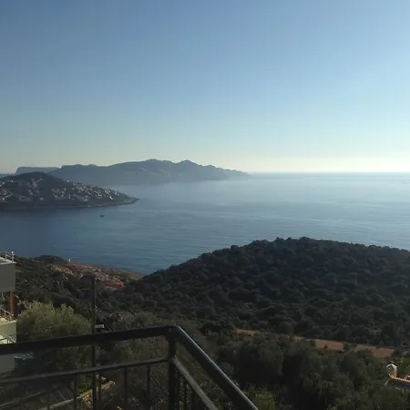 Elit Kaş